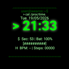 STerminal Watch app icon